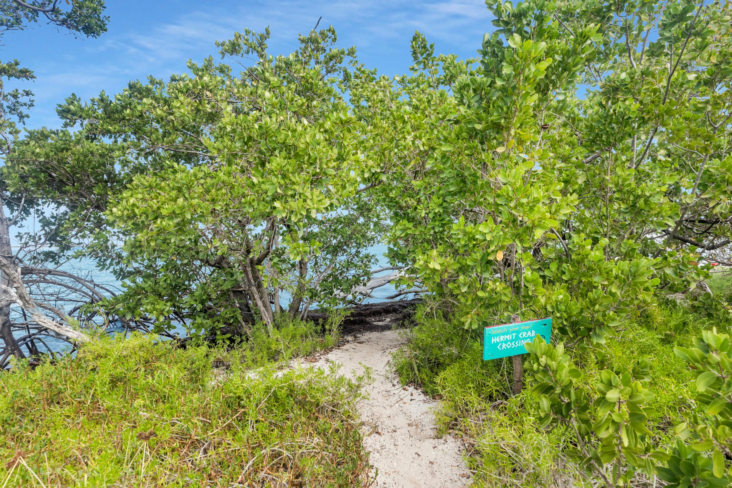 Molasses Keys Marathon, FL 33050 - Photo 25 of 36 a view of a yard