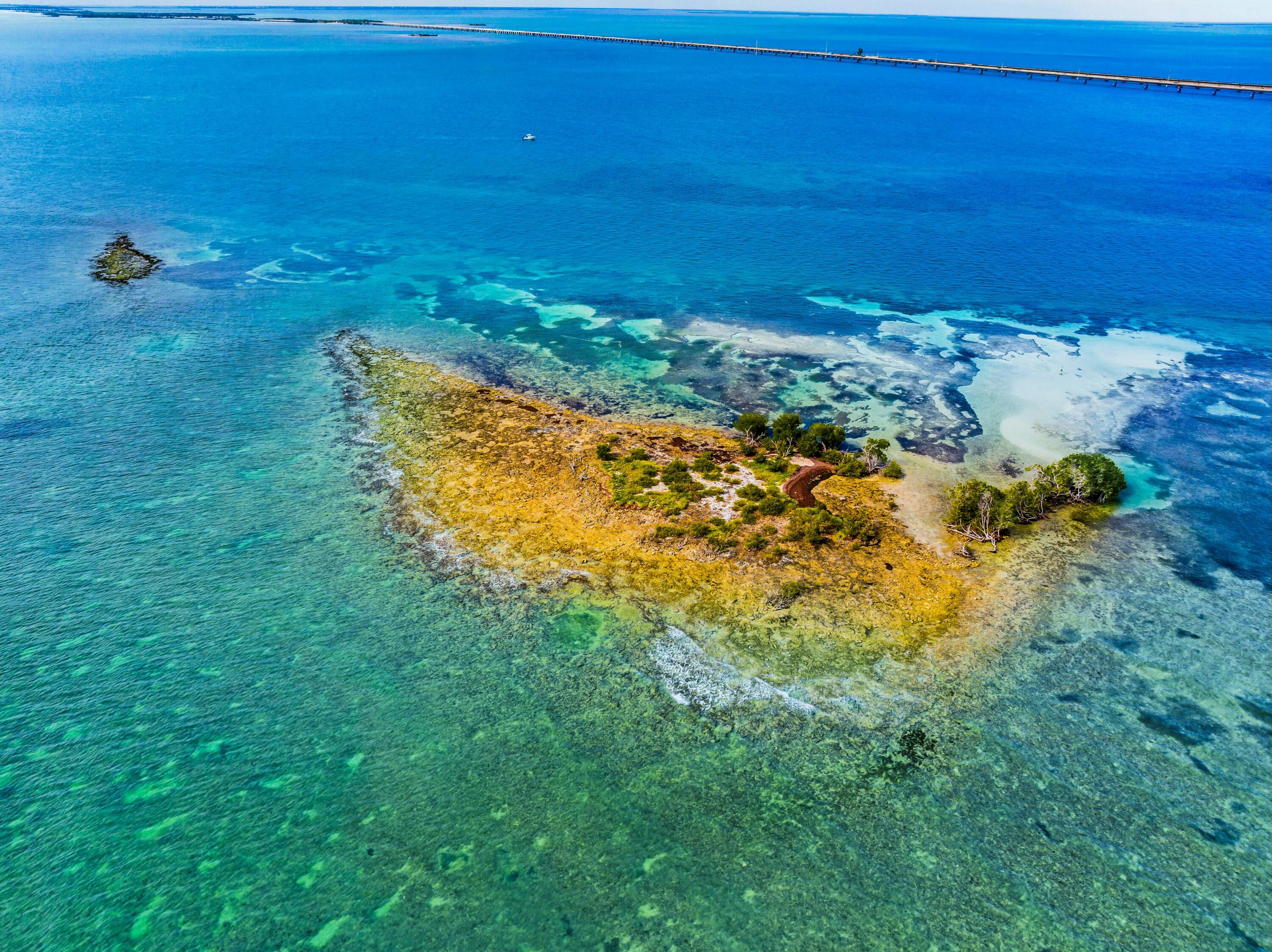Molasses Keys Marathon, FL 33050 - Photo 9 of 36 a view of a yard with an ocean view