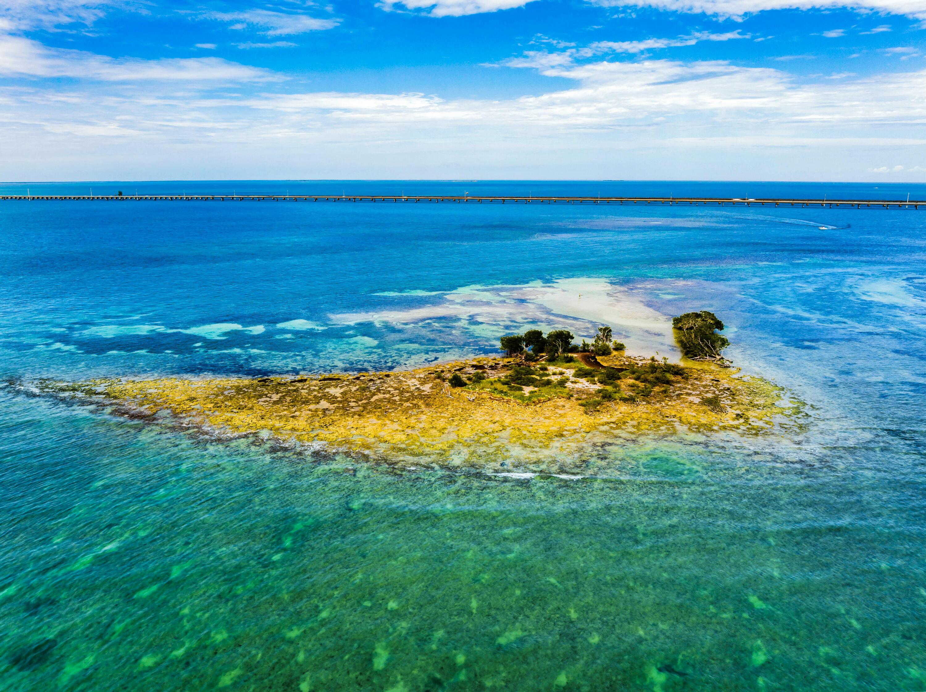 Molasses Keys Marathon, FL 33050 - Photo 10 of 36 a view of a lake with a yard