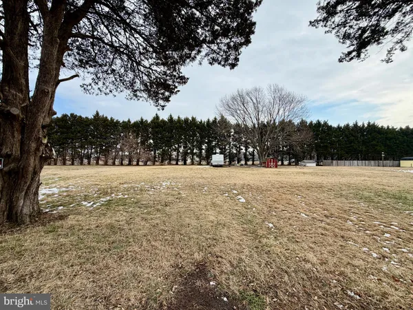 a view of yard