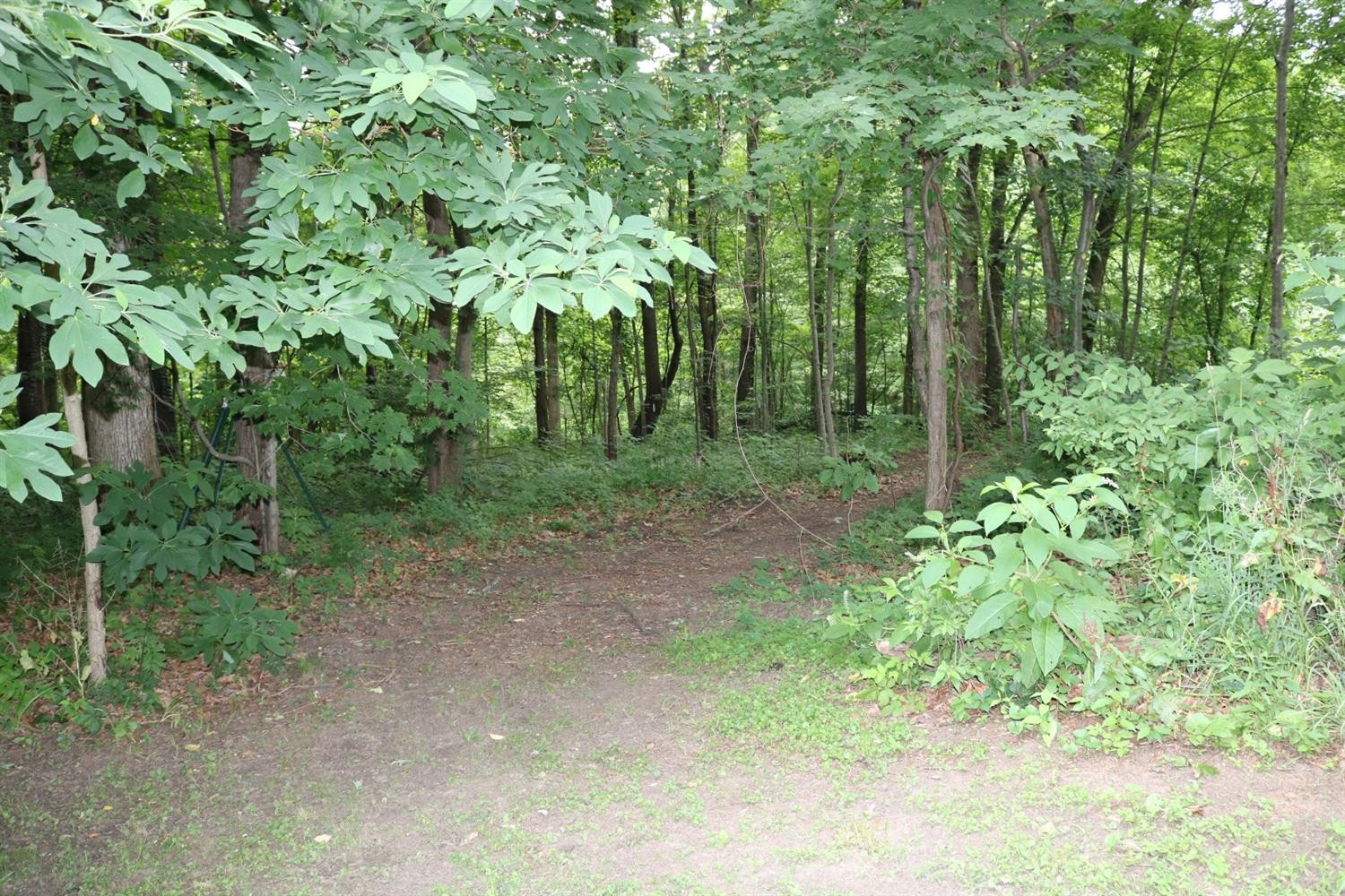 13309 Wanty Road Milan, MI 48160 - Photo 3 of 33 Photo 3