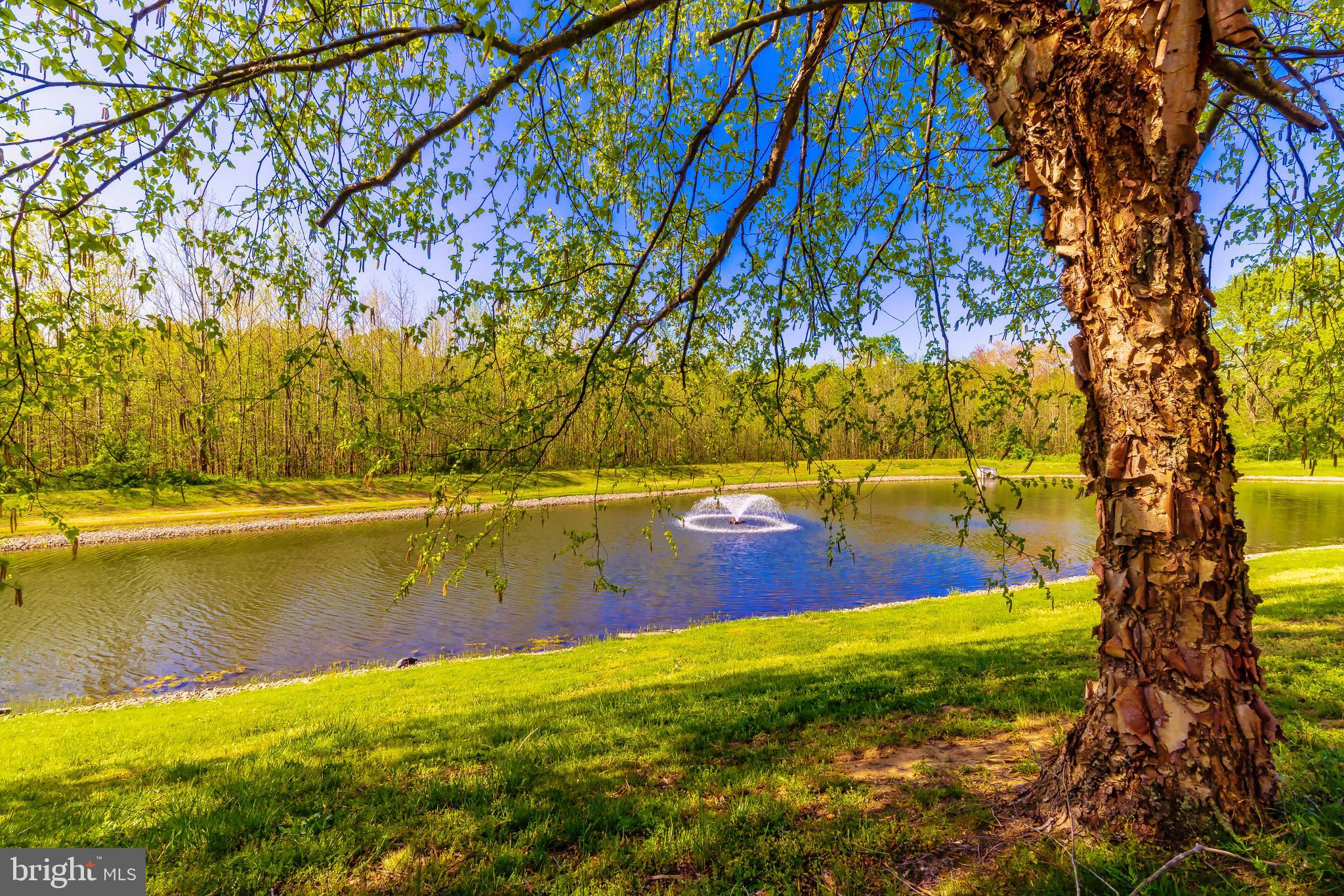 167 Westbrook Drive Swedesboro, NJ 08085 - Photo 6 of 36