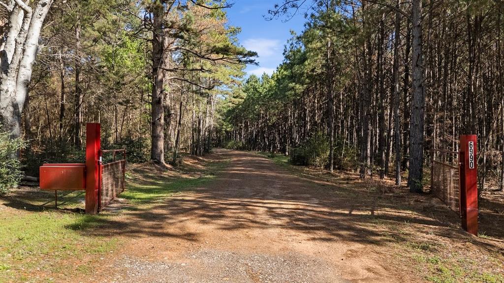 6990 Pin Oak Road Big Sandy, TX 75755 - Photo 3 of 40 a view of a park