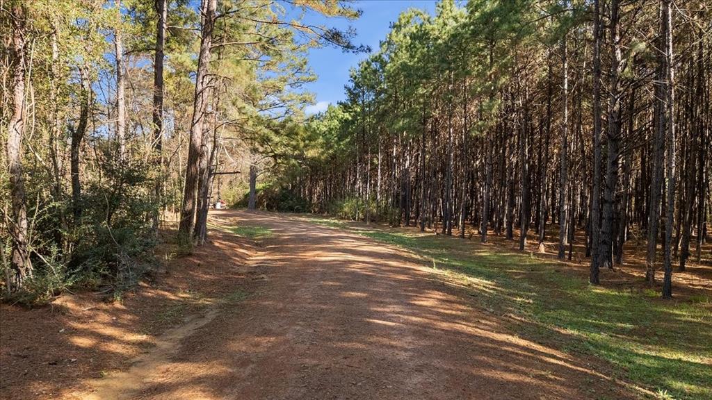 6990 Pin Oak Road Big Sandy, TX 75755 - Photo 37 of 40 a view of outdoor space with trees