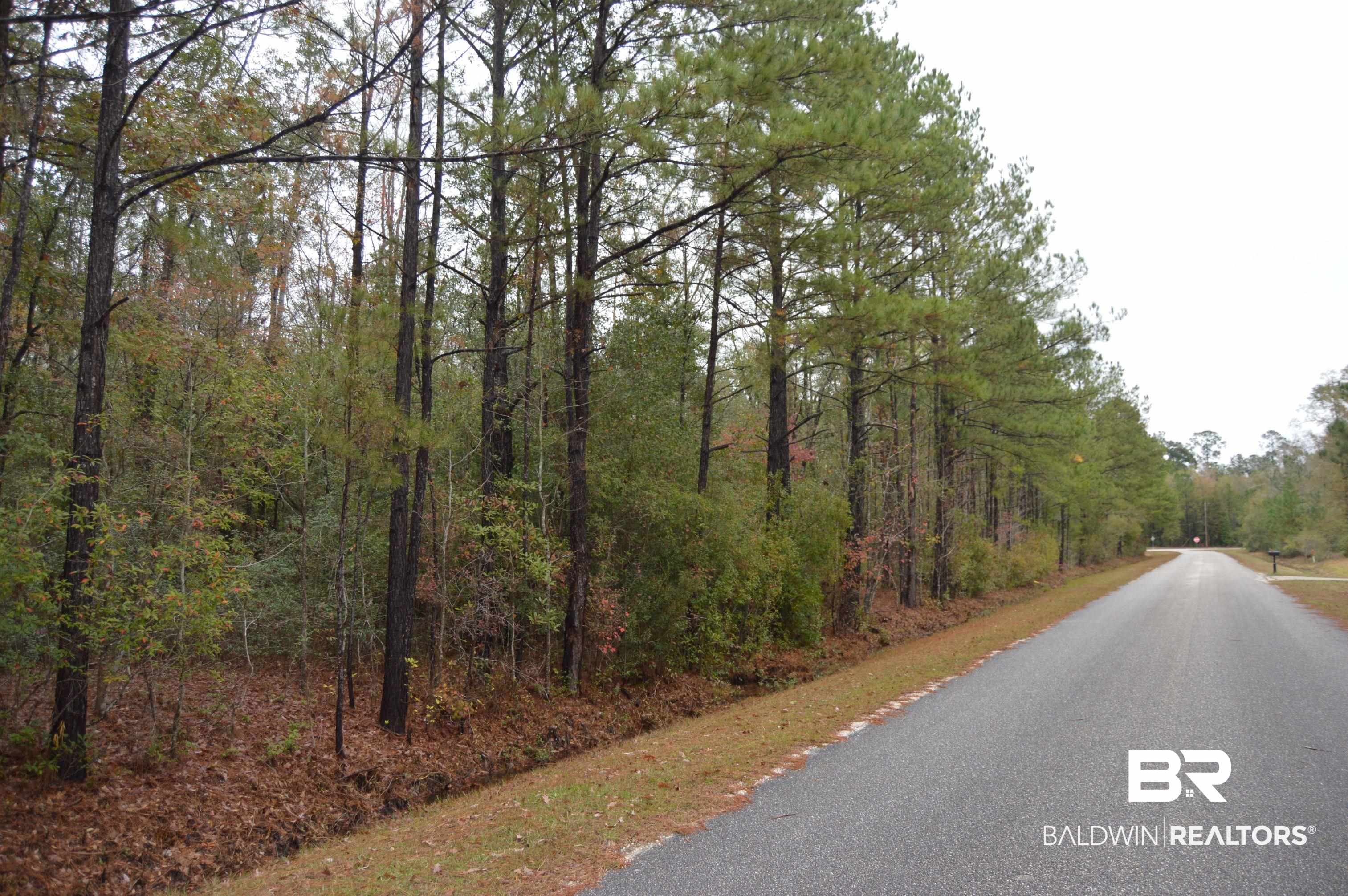 14 Marlin Street Stockton, AL 36579 - Photo 22 of 23 View of asphalt street featuring a wooded view