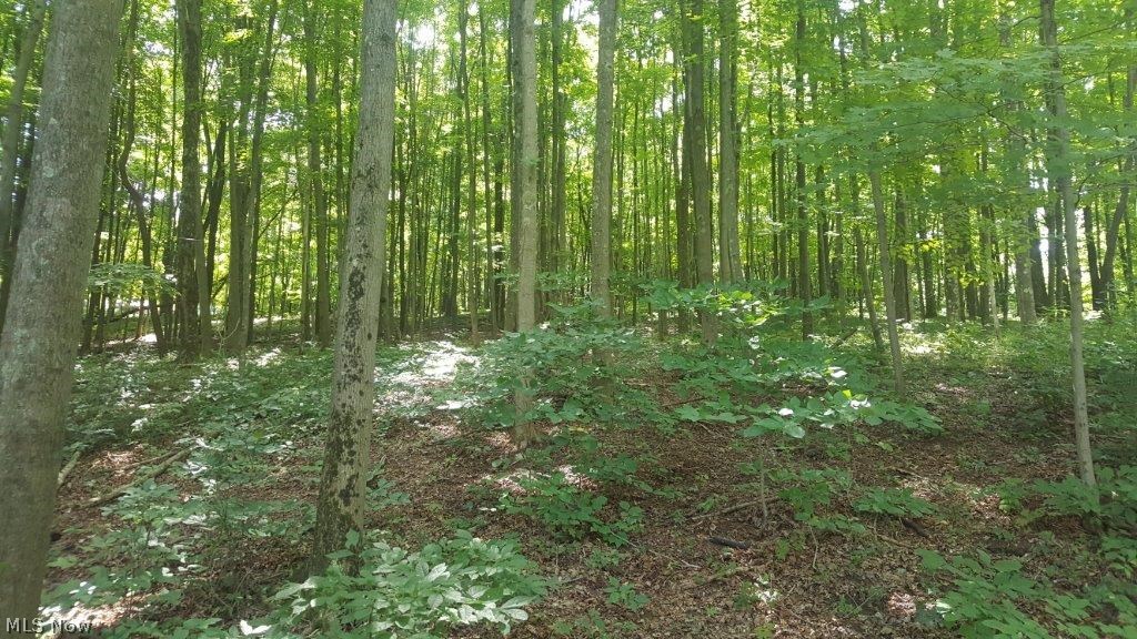 5846 Holmes Church Road Northeast New Philadelphia, OH 44663 - Photo 28 of 34