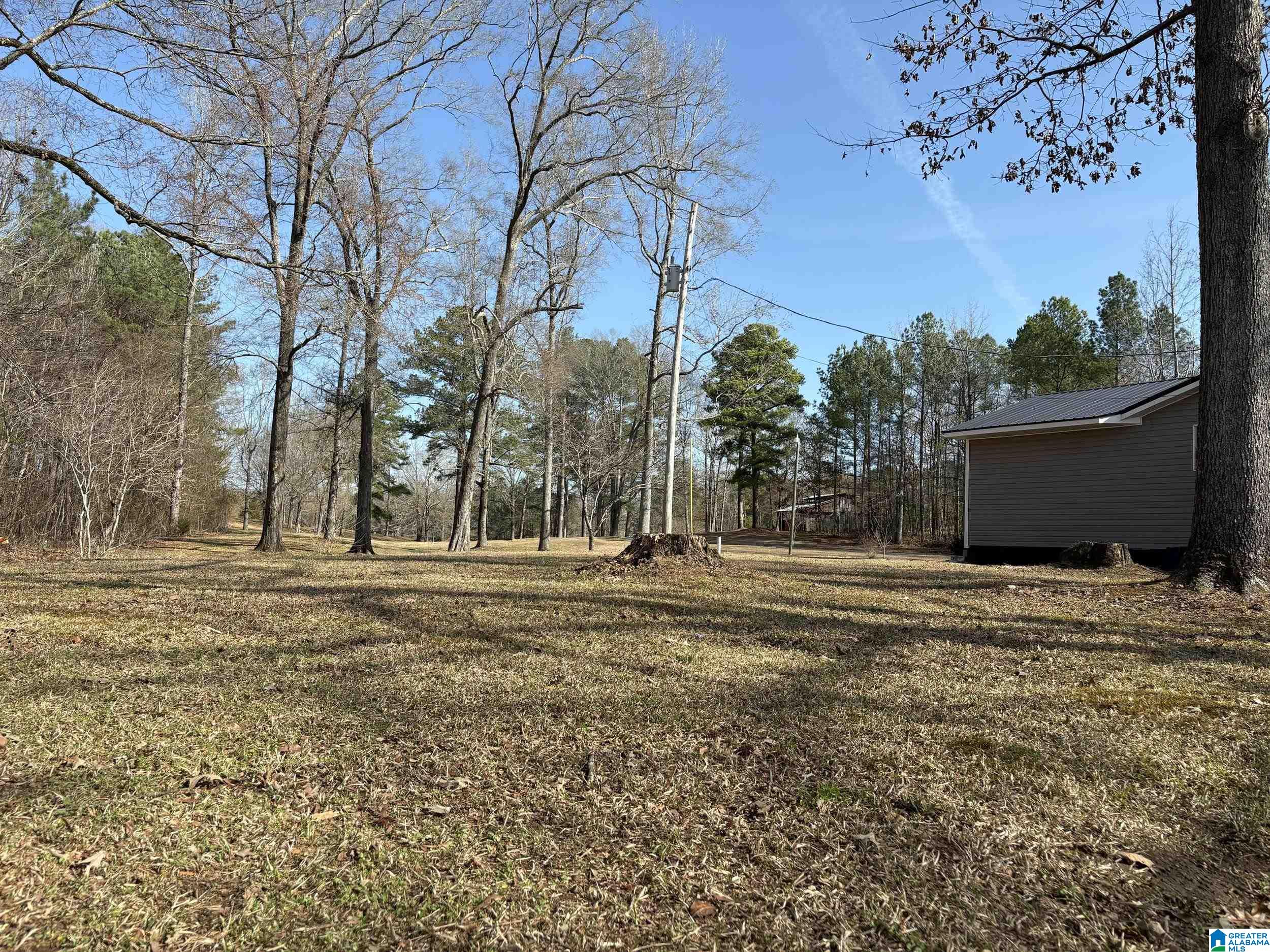 174 Mountain Road Ohatchee, AL 36271 - Photo 6 of 30