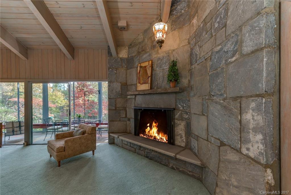 354 Mimosa Road, Unit 9 Tryon, NC 28782 - Photo 7 of 24