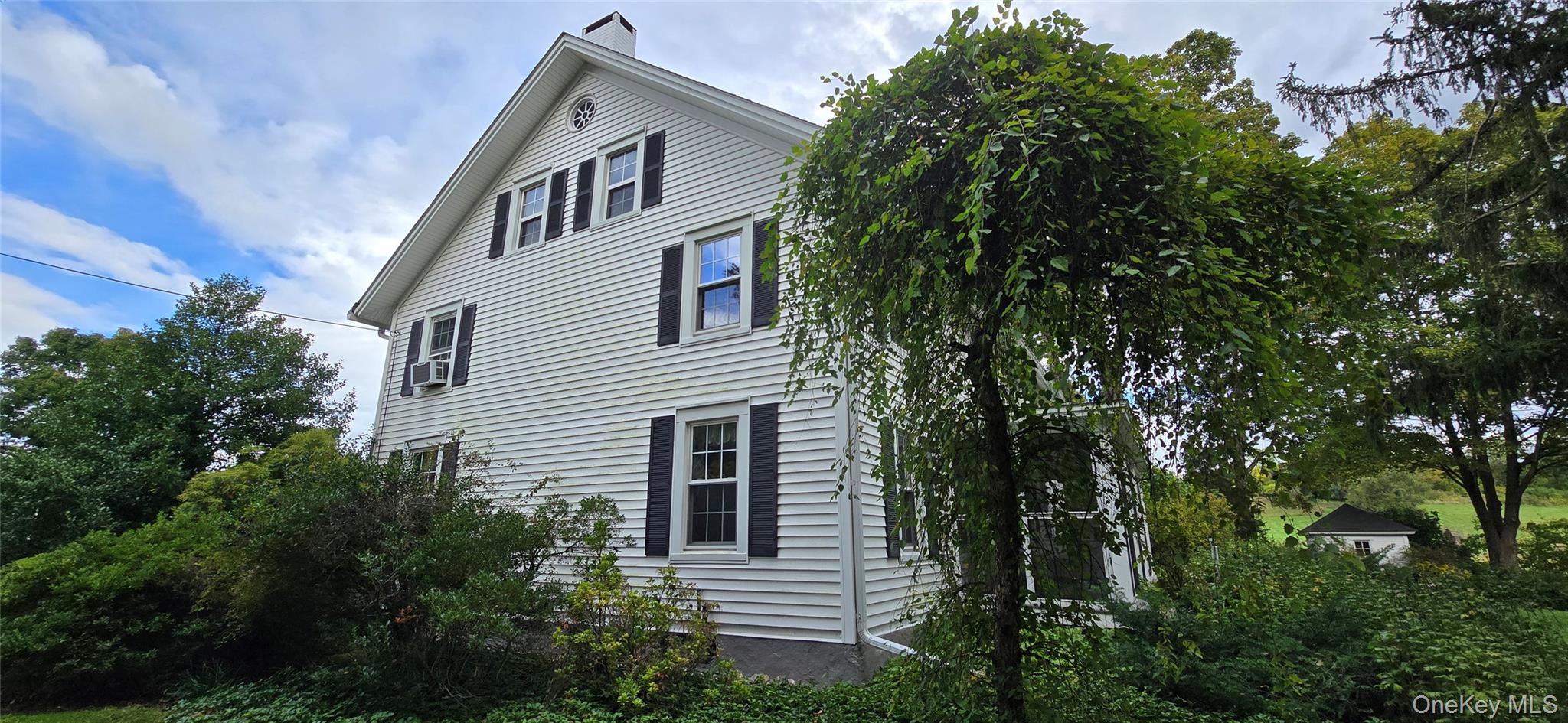 1196 82nd Route Hopewell Junction, NY 12533 - Photo 2 of 17 a front view of a house with a garden
