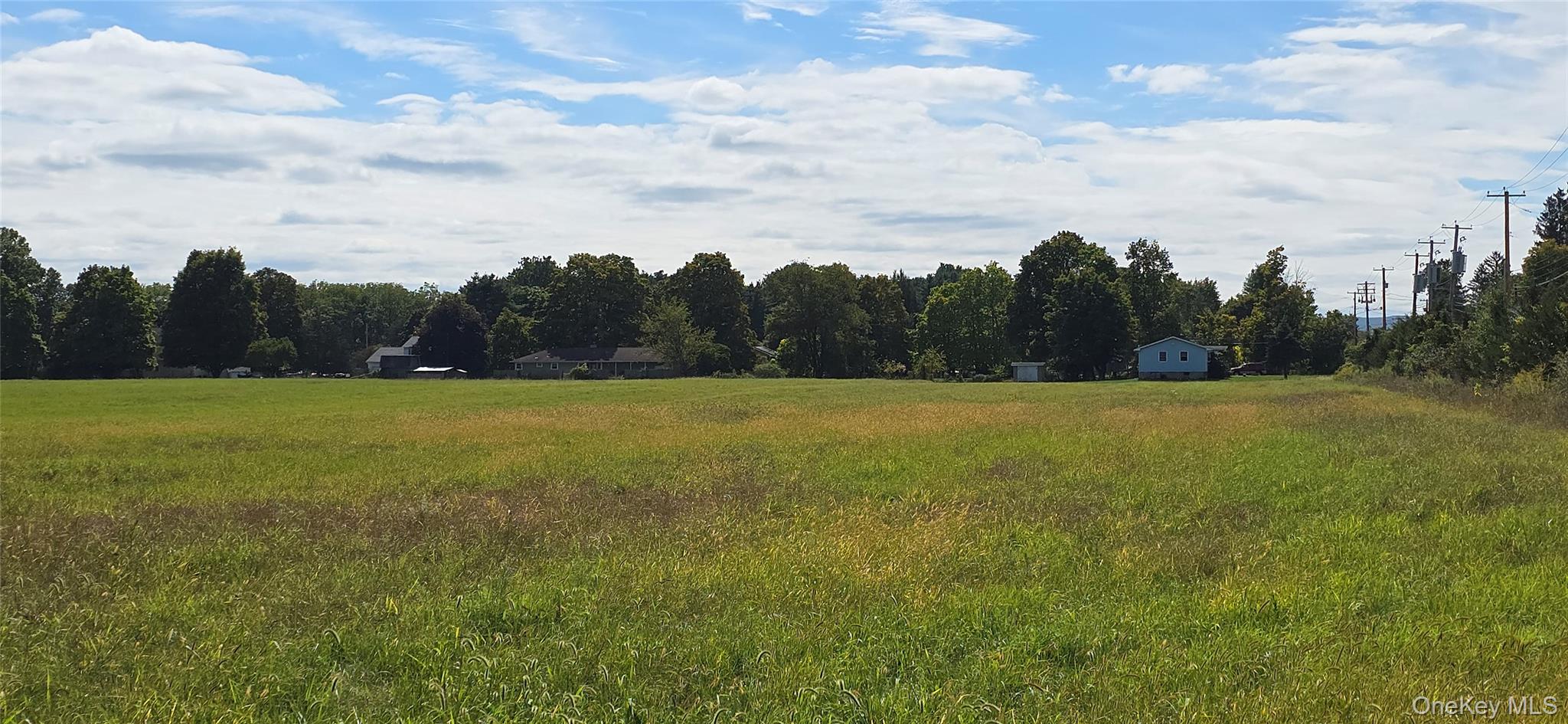 1196 82nd Route Hopewell Junction, NY 12533 - Photo 5 of 17 a view of a field with trees in the background