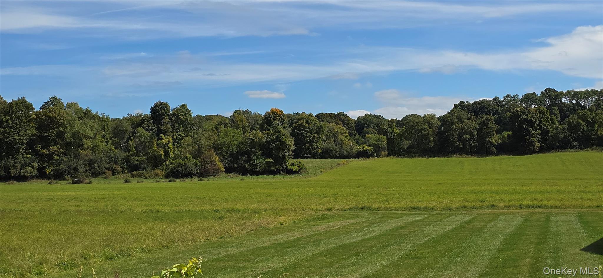 1196 82nd Route Hopewell Junction, NY 12533 - Photo 7 of 17 a view of a grassy field