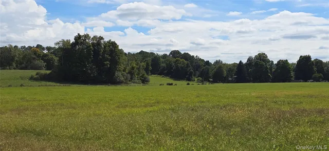 a view of outdoor space with green field and trees