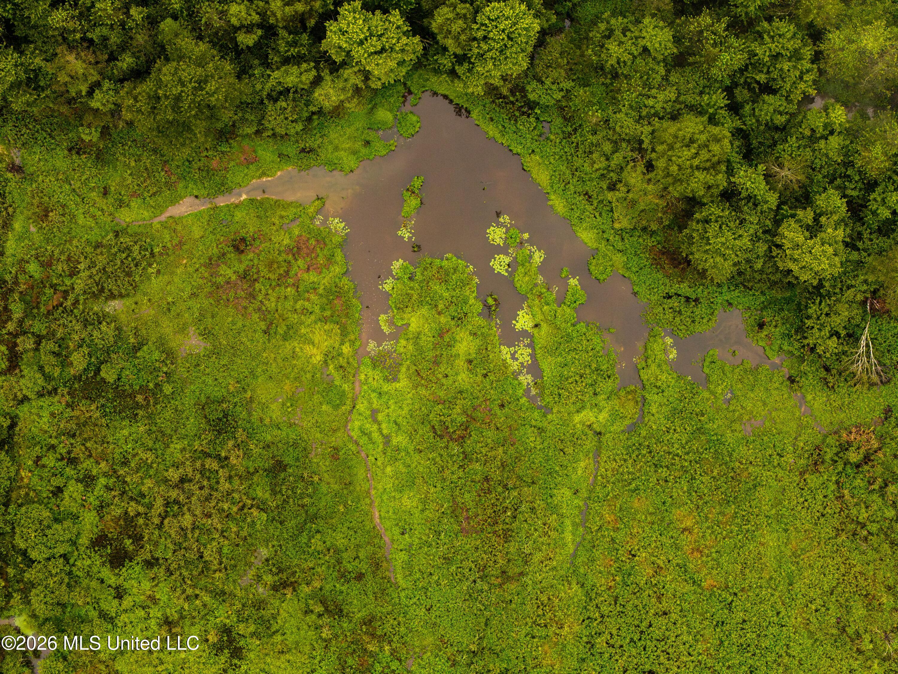 Lawrence Hazel Road Newton, MS 39345 - Photo 6 of 11 DJI_20260827112644_0011_D