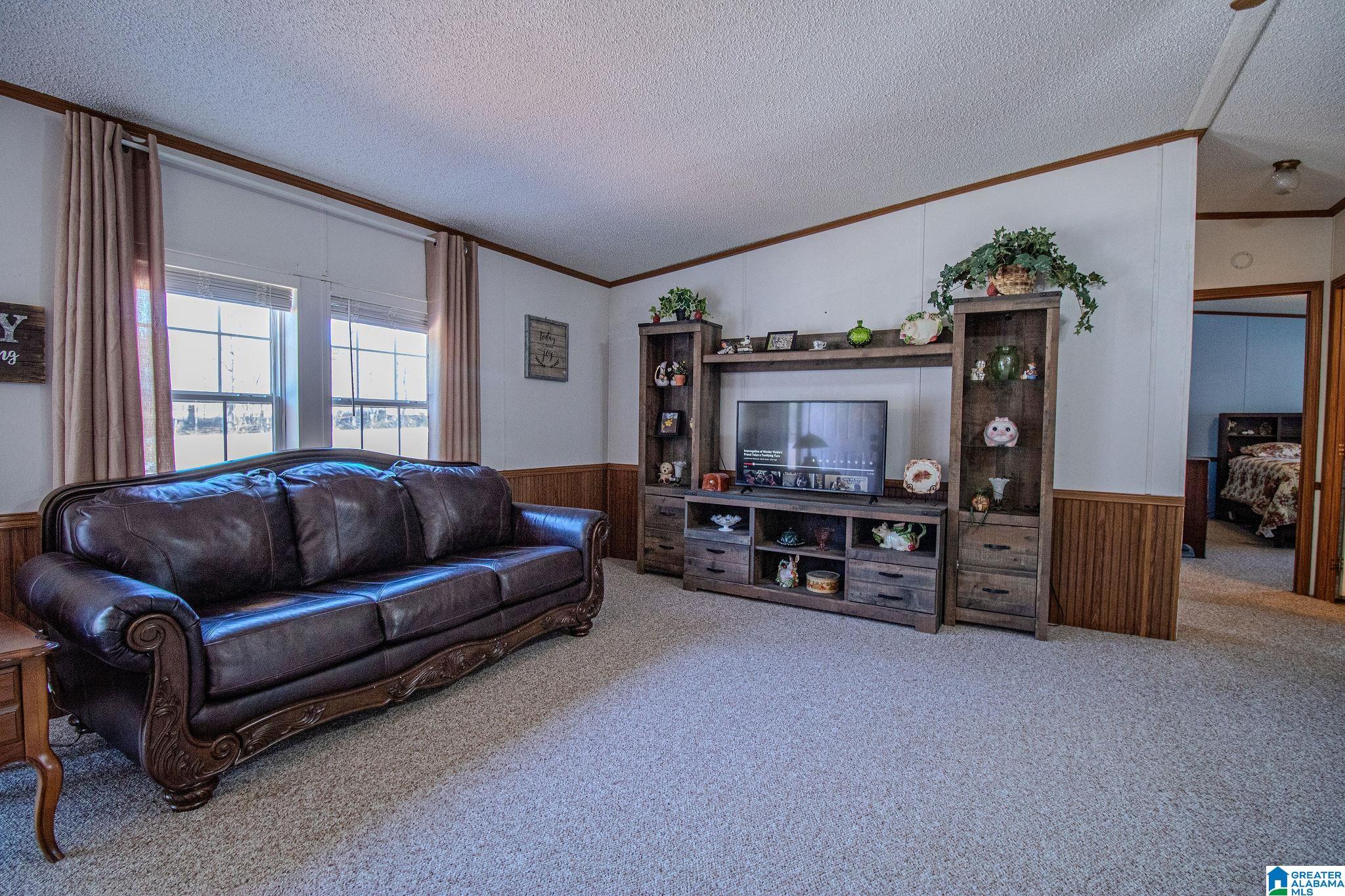 1809 Blue Ridge Road Lineville, AL 36266 - Photo 41 of 69
