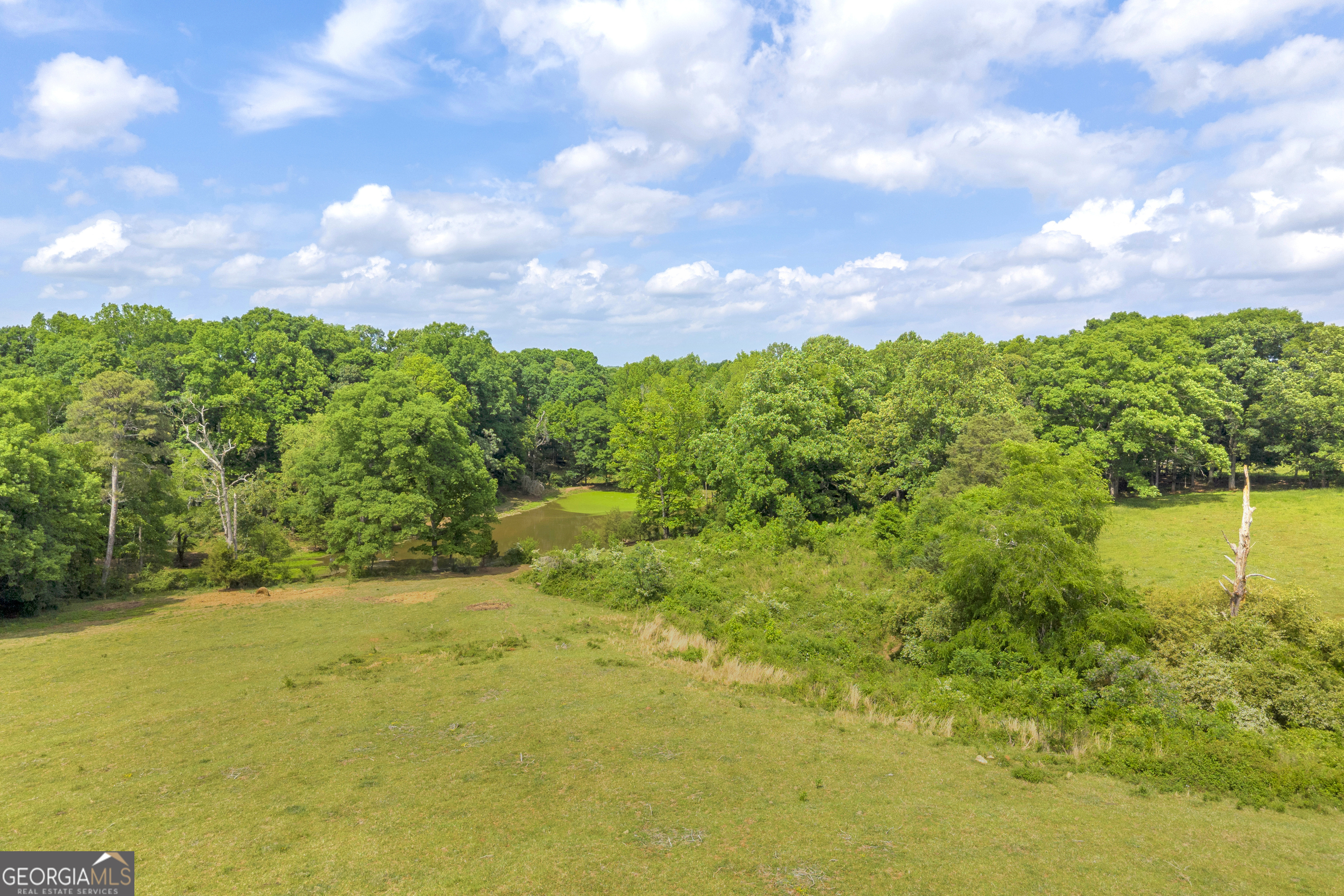 6490 Highway 145 Carnesville, GA 30521 - Photo 23 of 29 a view of a lake with a yard