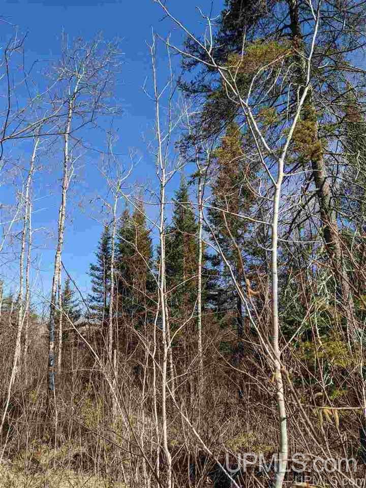 2 Little Bull Road, Unit S1/2NW1/4 Crystal Falls, MI 49920 - Photo 7 of 10
