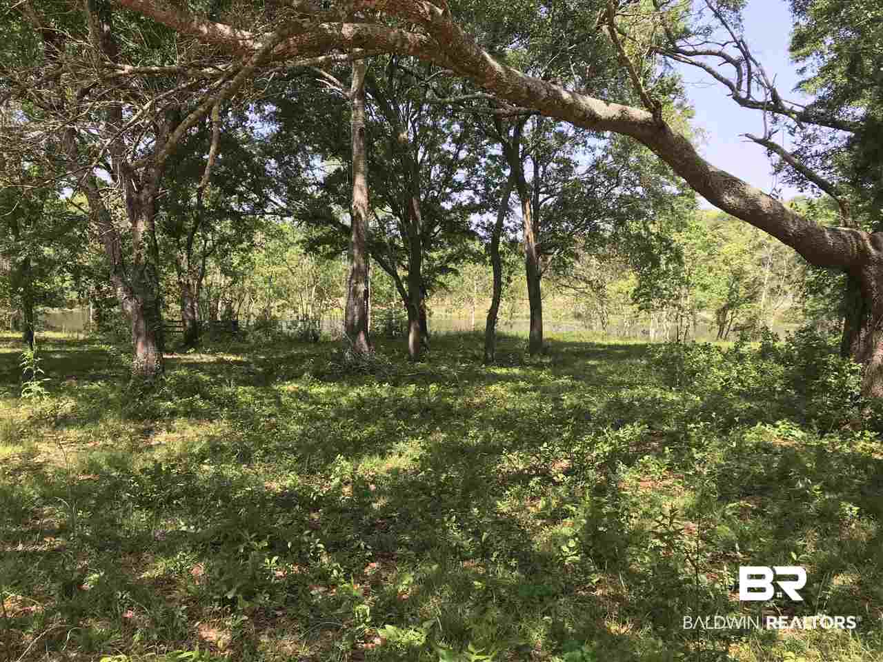 0 Beasley Road Foley, AL 36535 - Photo 22 of 29