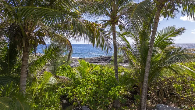 $1,100,000 | 12-7811 Kalapana Kapoho Beach Road, Pahoa, HI 96778