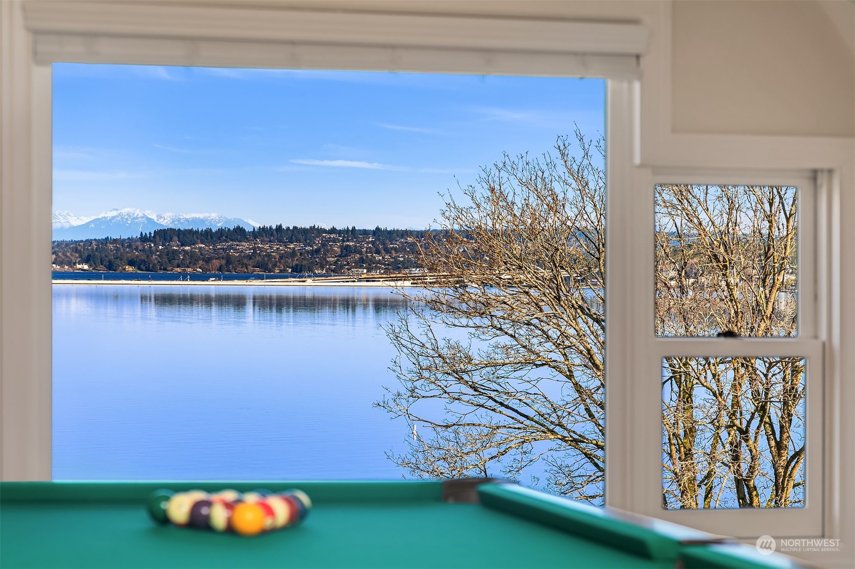 3708 42nd Avenue South Seattle, WA 98144 - Photo 30 of 40 a view of a lake with a mountain