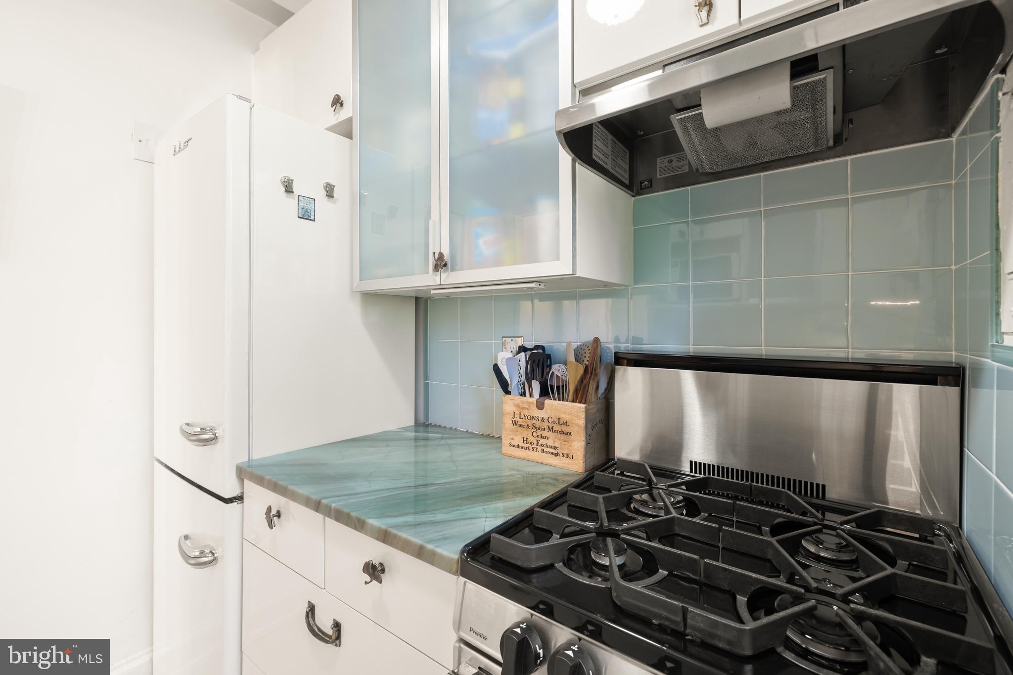 2032 Belmont Road Northwest, Unit 302 Washington, DC 20009 - Photo 22 of 31 European Refrigerator