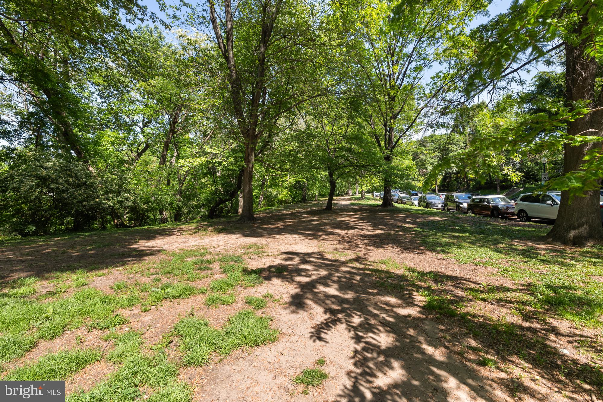 2032 Belmont Road Northwest, Unit 302 Washington, DC 20009 - Photo 31 of 31 Green Space and Views of Park