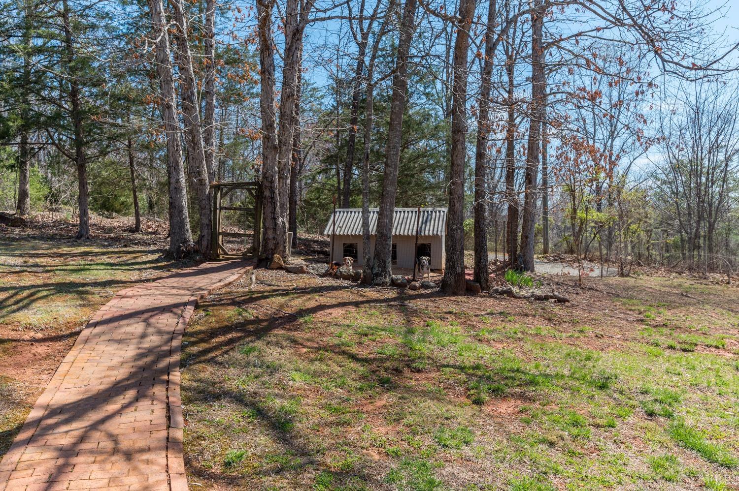 375 East Perch Road Monroe, VA 24574 - Photo 64 of 73 a view of a yard with trees in the background