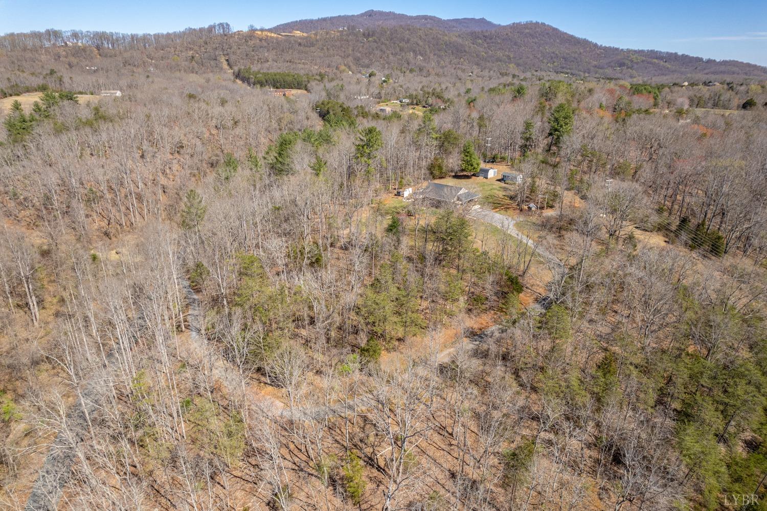 375 East Perch Road Monroe, VA 24574 - Photo 69 of 73 a view of a dry yard with mountains in the background