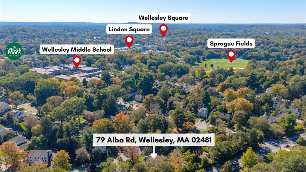 79 Alba Road Wellesley, MA 02481 - Photo 40 of 41