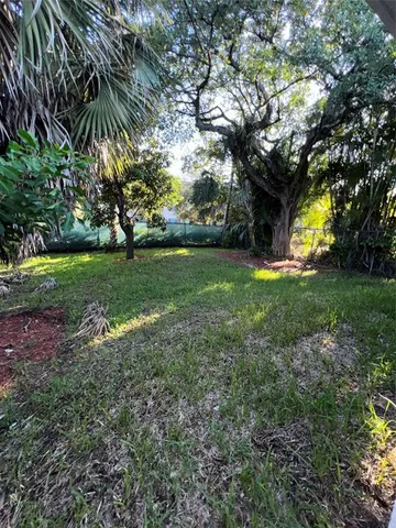 a view of yard with tree s