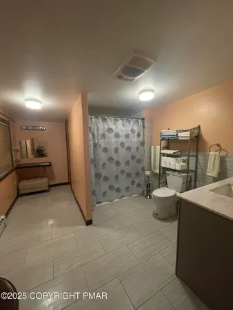 a bathroom with a sink a toilet and shower