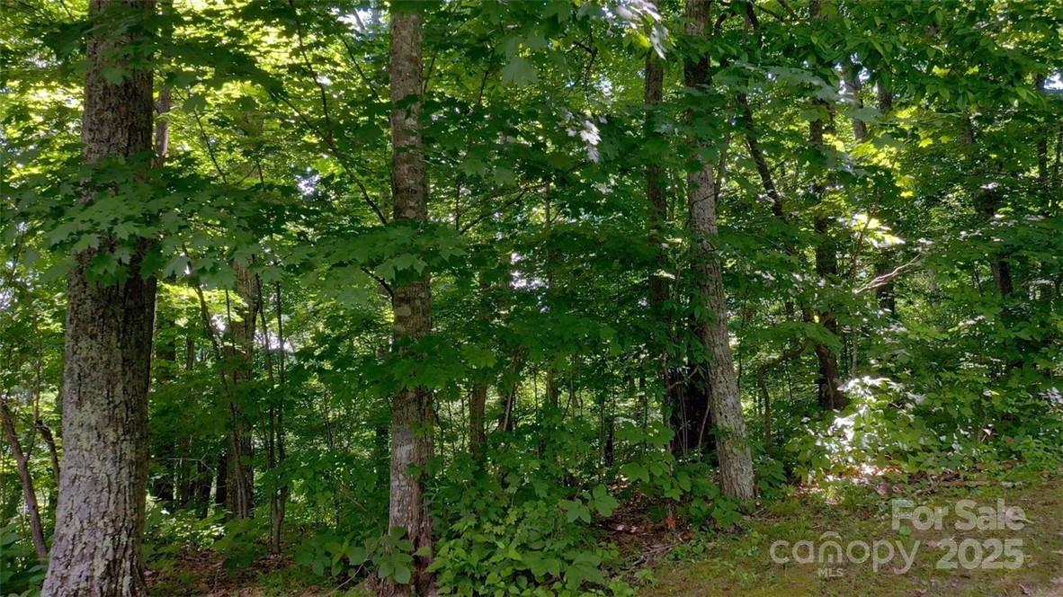 Lot 35 Heritage Ridge Road Burnsville, NC 28714 - Photo 12 of 27 Gallery Image 12