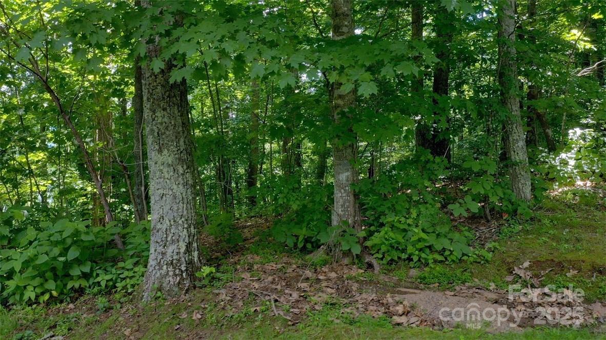 Lot 35 Heritage Ridge Road Burnsville, NC 28714 - Photo 13 of 27 Gallery Image 13