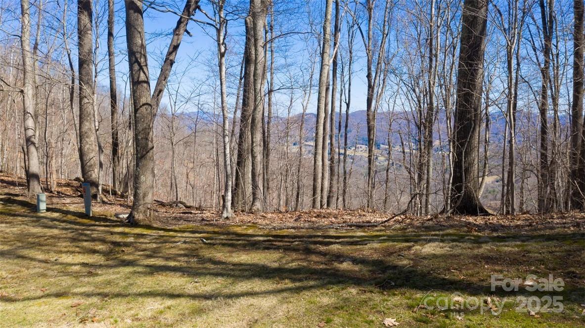 Lot 35 Heritage Ridge Road Burnsville, NC 28714 - Photo 5 of 27 Gallery Image 5