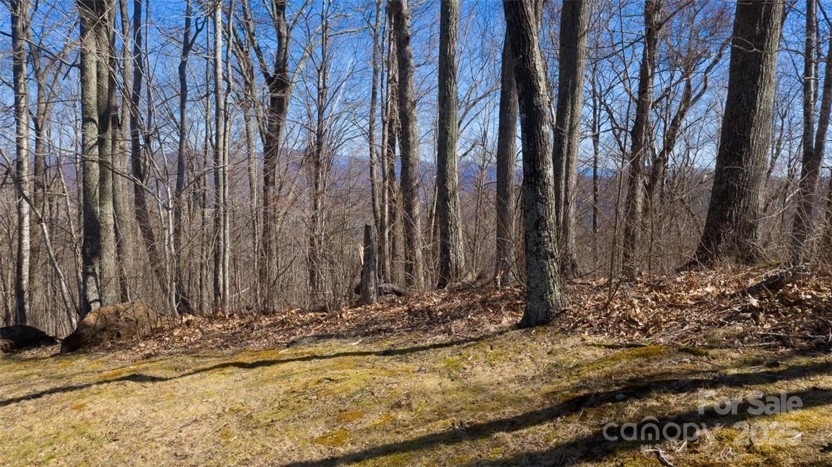 Lot 35 Heritage Ridge Road Burnsville, NC 28714 - Photo 6 of 27 Gallery Image 6
