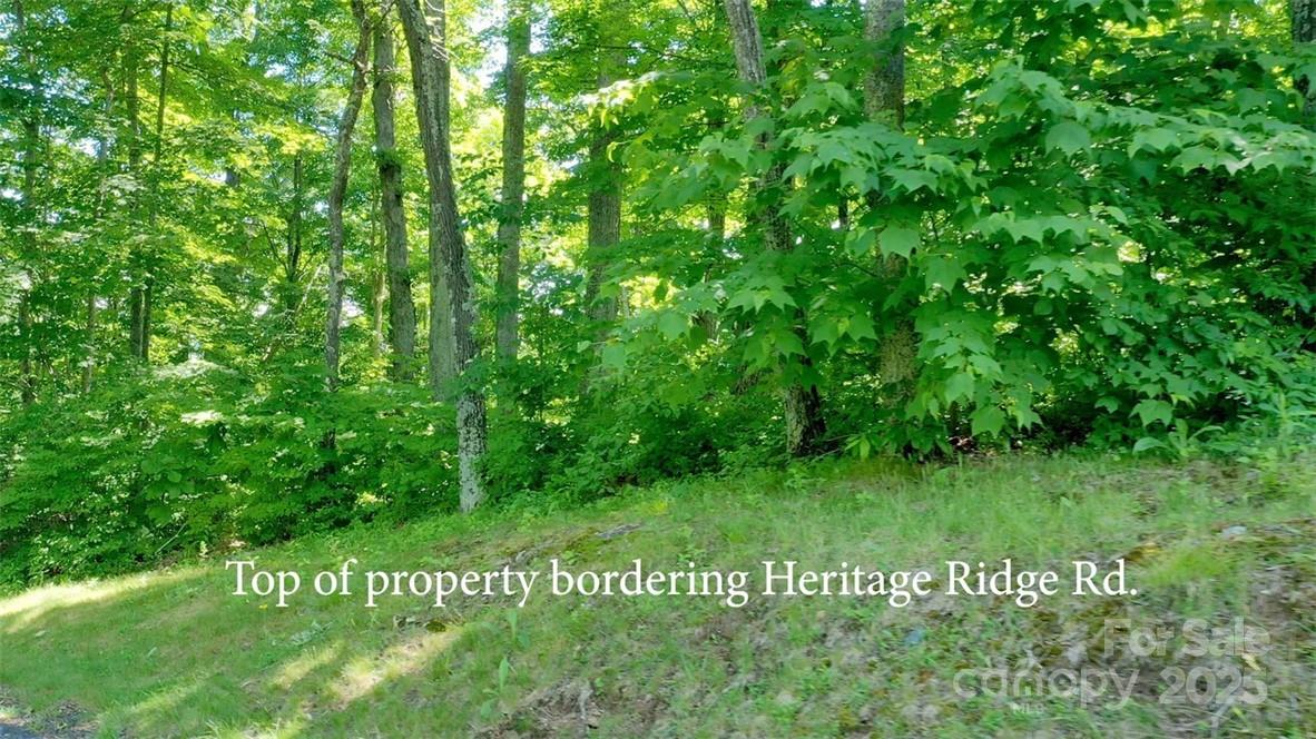 Lot 35 Heritage Ridge Road Burnsville, NC 28714 - Photo 8 of 27 Gallery Image 8