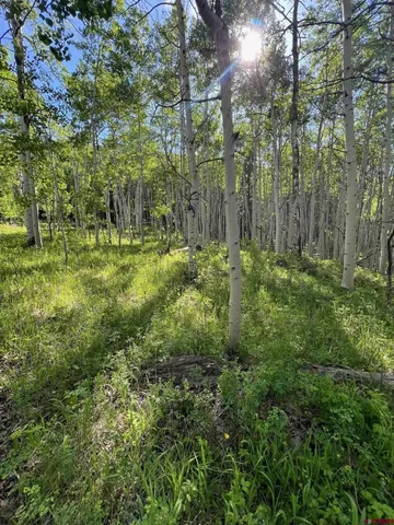 a view of outdoor space and trees all around