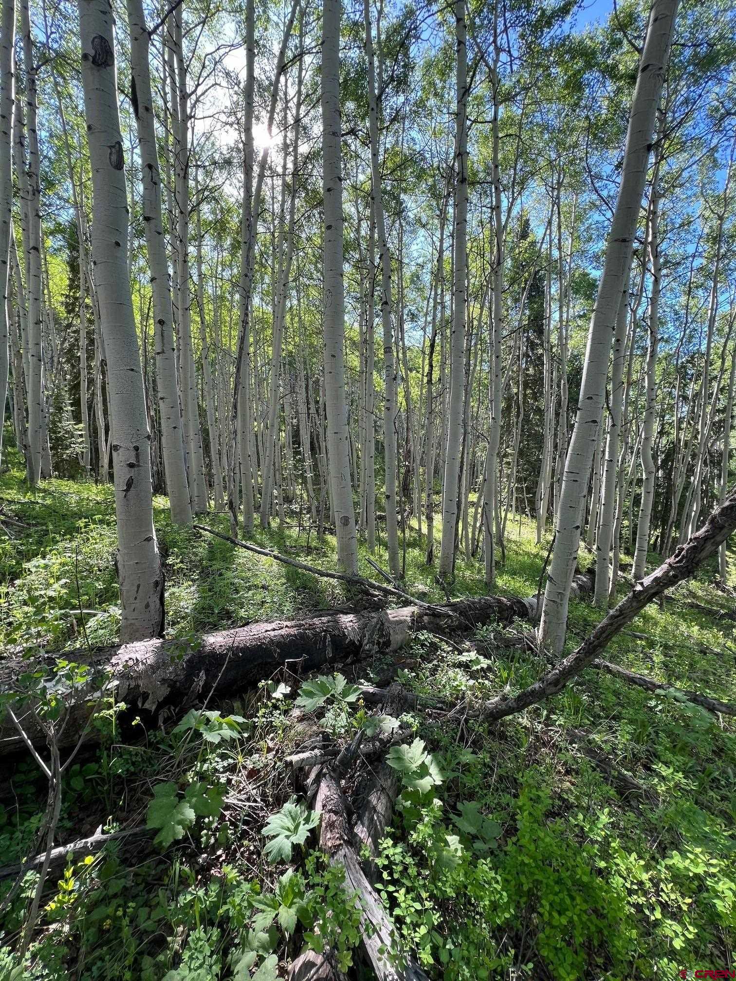 Tbd Eagles Rest Montrose, CO 81220 - Photo 3 of 8 a view of outdoor space and green space