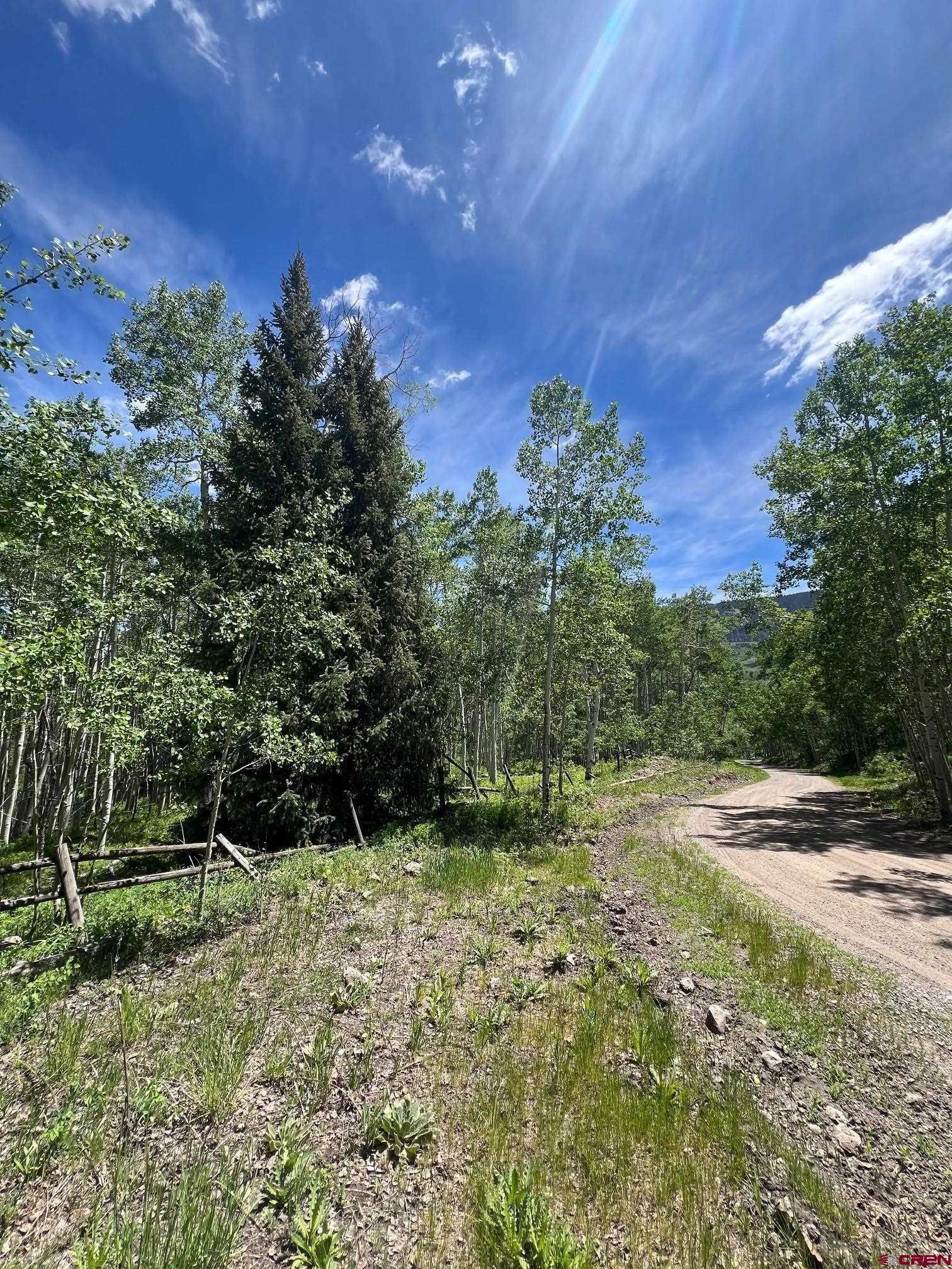 Tbd Eagles Rest Montrose, CO 81220 - Photo 4 of 8 a view of a yard with an tree