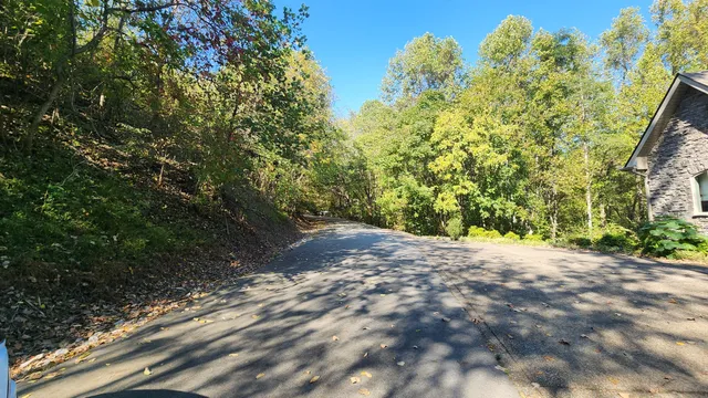 a view of a house with a tree