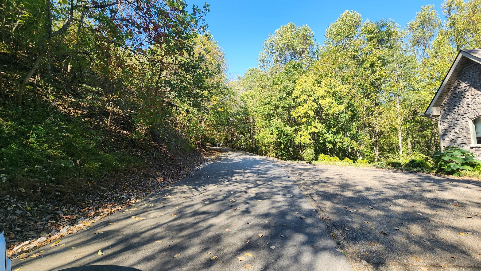 0 Bayview Drive Lancaster, TN 38569 - Photo 12 of 15 a view of a yard with plants and trees