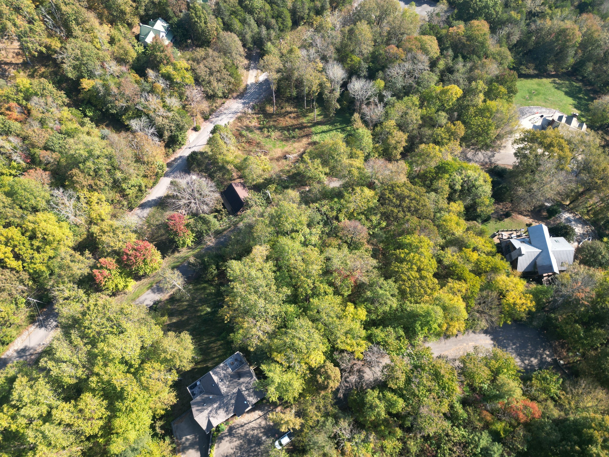 0 Bayview Drive Lancaster, TN 38569 - Photo 5 of 15 a picture of a tree