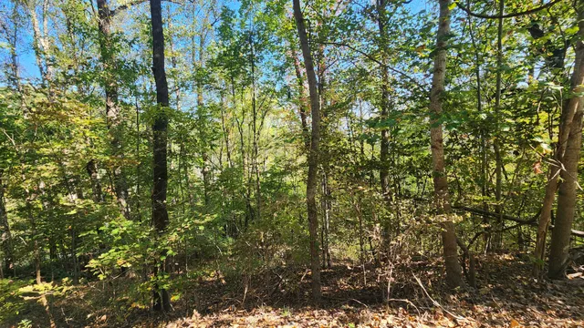 a view of a backyard of a house