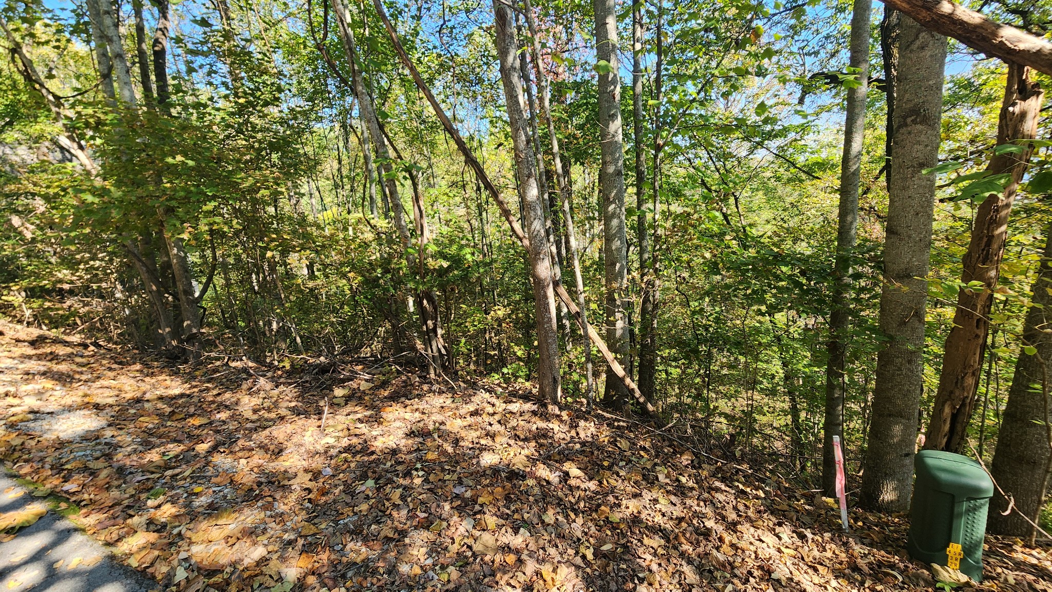 0 Bayview Drive Lancaster, TN 38569 - Photo 10 of 15 a view of a yard with a tree