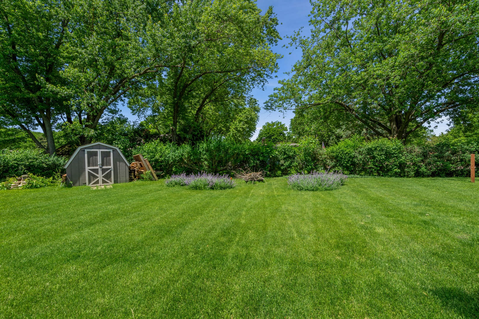 426 High Road Cary, IL 60013 - Photo 28 of 28 a view of a garden with large trees