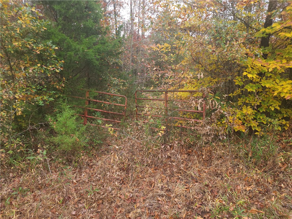 0 Rector Road Belton, SC 29627 - Photo 3 of 11