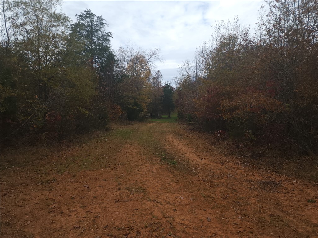 0 Rector Road Belton, SC 29627 - Photo 4 of 11