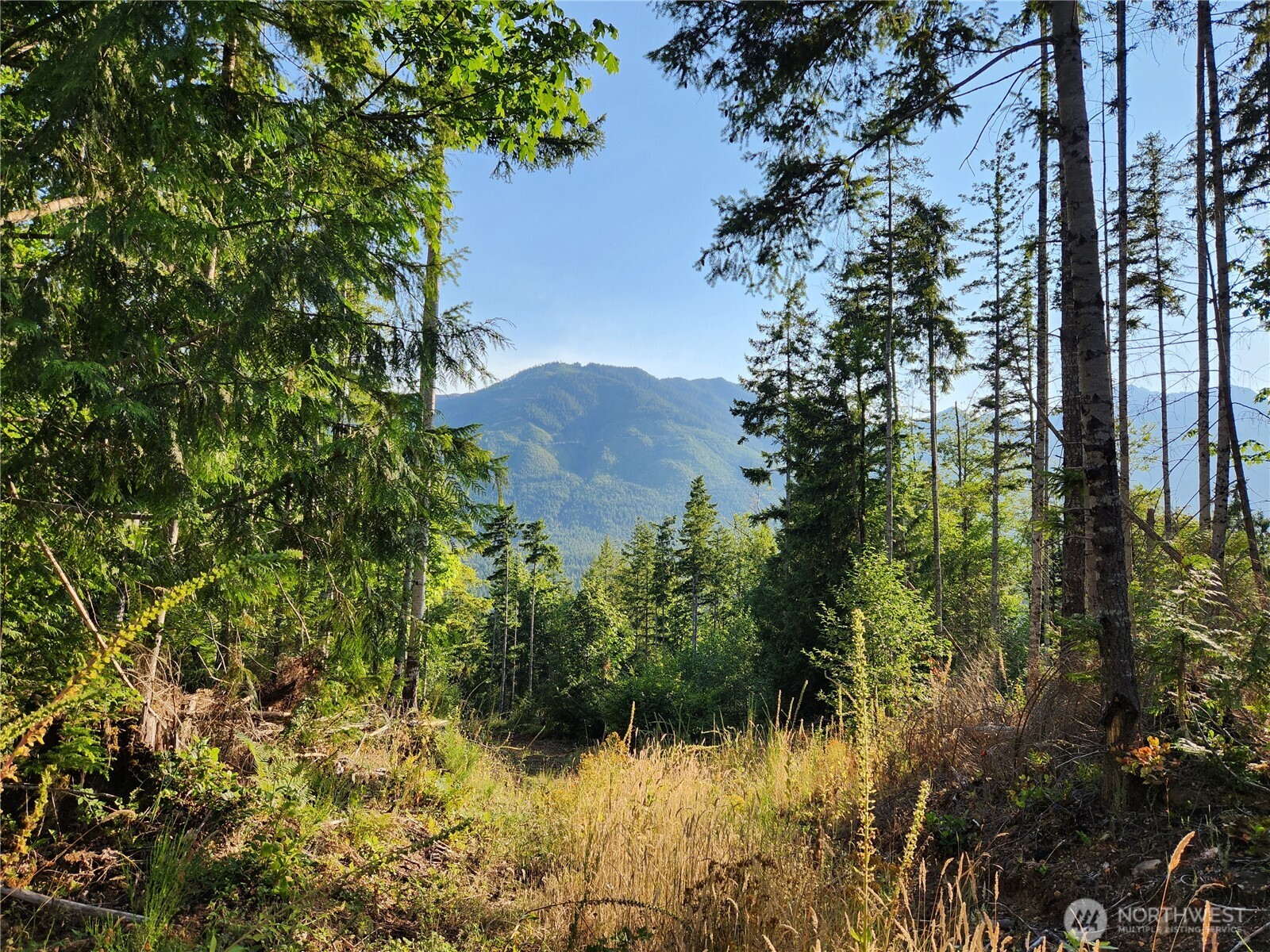0 Rocky Brook Road, Unit LOT I Brinnon, WA 98320 - Photo 1 of 9