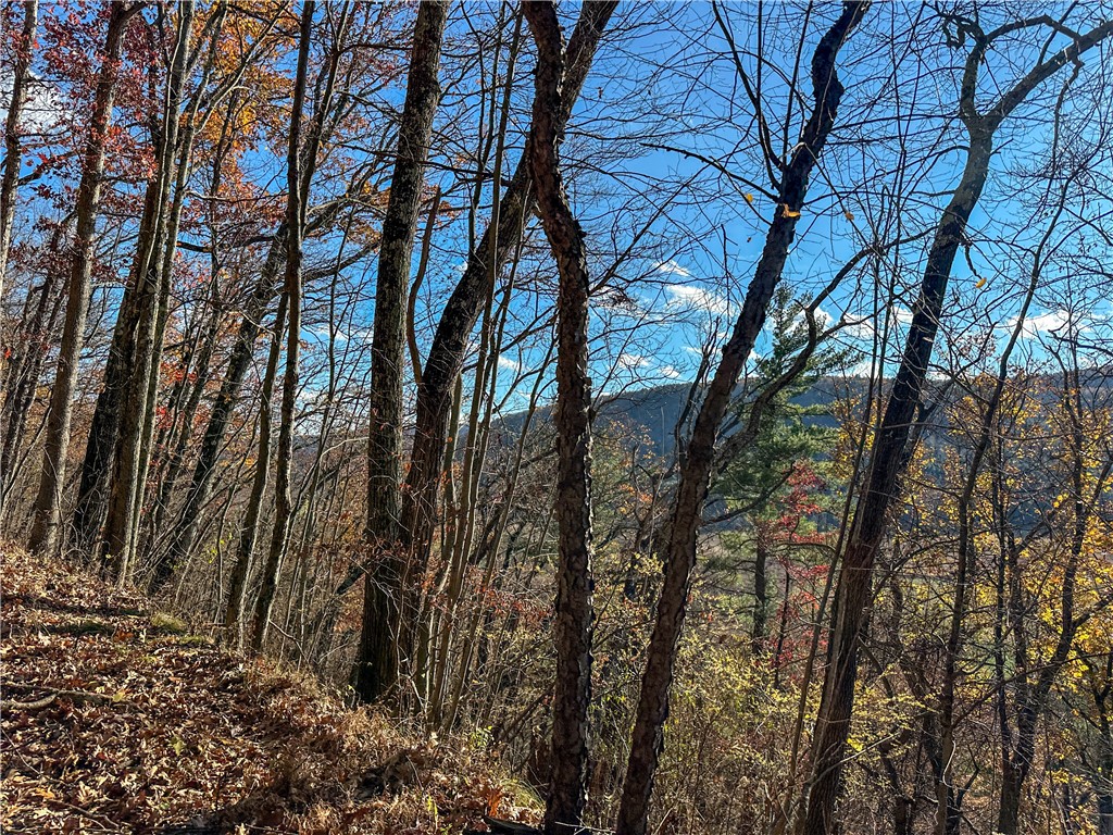 Vl Lot 2 Hathaway Hill Road Cameron, NY 14819 - Photo 11 of 23