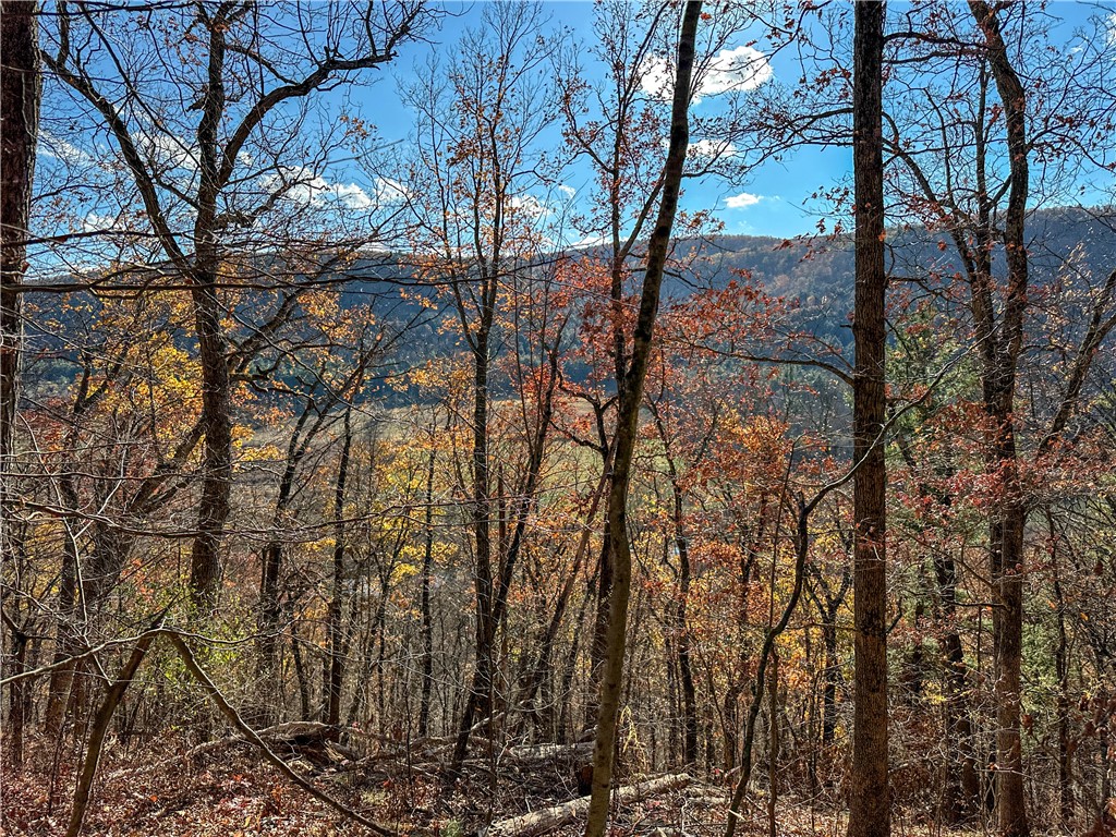 Vl Lot 2 Hathaway Hill Road Cameron, NY 14819 - Photo 12 of 23