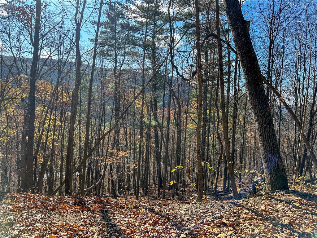 Vl Lot 2 Hathaway Hill Road Cameron, NY 14819 - Photo 13 of 23